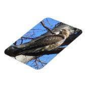 オオシドリ マグネット (左側)