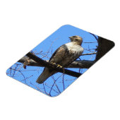 オオシドリ マグネット (左側)