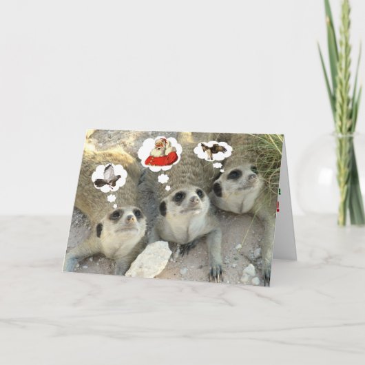 オオタカか。 サンタ! ワシか。 -季節のごあいさつ シーズンカード (正面)