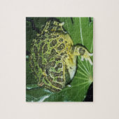 オオツノガエル (Ceratophrys ornata) ジグソーパズル (縦)