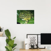 オオツノガエル (Ceratophrys ornata) ポスター (ホームオフィス)