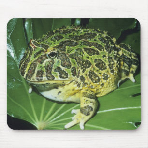 オオツノガエル (Ceratophrys ornata) マウスパッド