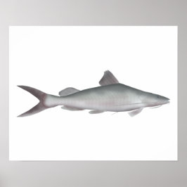 オオナマズ ポスター