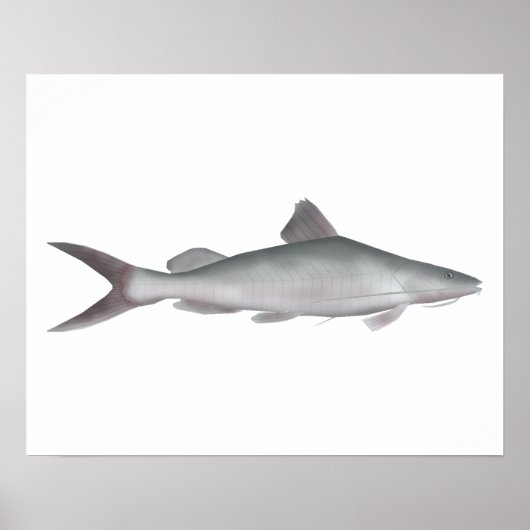 オオナマズ ポスター (正面)