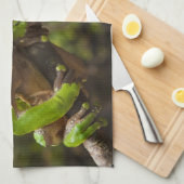 オオハガエルPhyllomedusa bicolor) キッチンタオル (四つ折り)