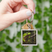 オオハガエルPhyllomedusa bicolor) キーホルダー (手)