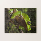 オオハガエルPhyllomedusa bicolor) ジグソーパズル (横)