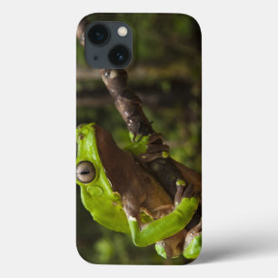 オオハキリガエル(Phyllomedusa bicolor) iPhone 13ケース
