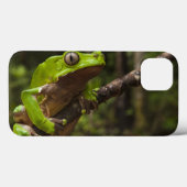 オオハキリガエル(Phyllomedusa bicolor) Case-Mate iPhoneケース (裏面 (横))