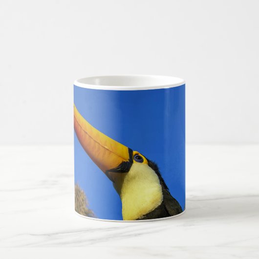 オオハシの鳥 コーヒーマグカップ (中央)