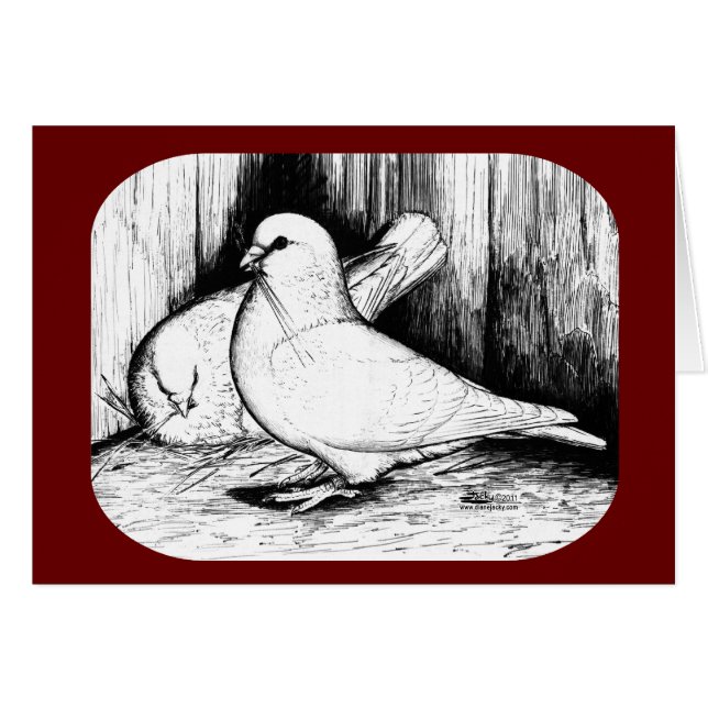 オオハト (正面横)