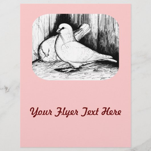 オオハト チラシ (正面)