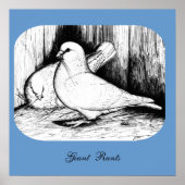 オオハト ポスター (正面)