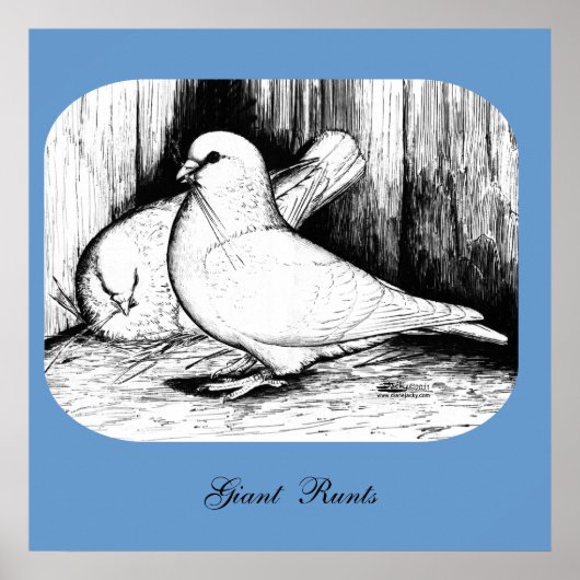 オオハト ポスター (正面)