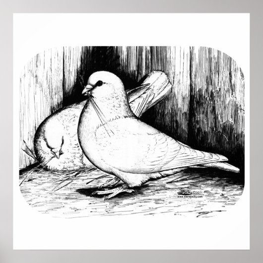 オオハト ポスター (正面)