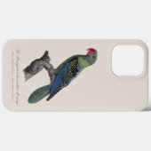 オオハナショウゴインコ、Tanygnathus Megalorynchos Case-Mate iPhoneケース (裏面 (横))