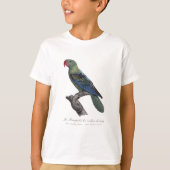 オオハナショウゴインコ、Tanygnathus Megalorynchos Tシャツ (正面)