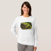 オオハナノドカエル(Phyllomedusa bicolor) 3 Tシャツ (正面フル)