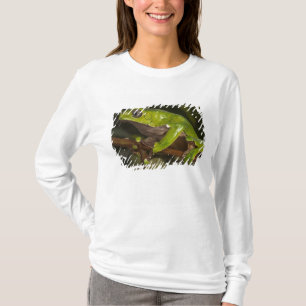 オオハナノドカエル(Phyllomedusa bicolor) 3 Tシャツ