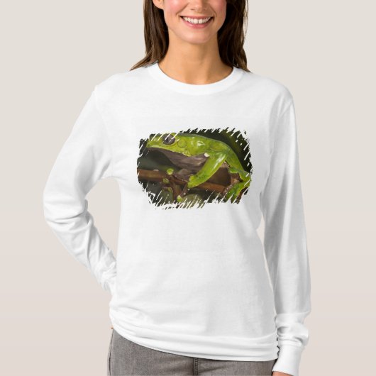 オオハナノドカエル(Phyllomedusa bicolor) 3 Tシャツ (正面)