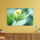 オオハンゴンソウの花が開く キャンバスプリント (インサイチュ (リビング))