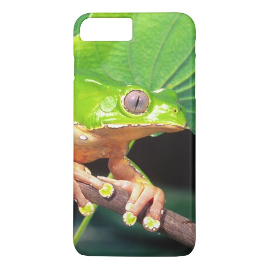 オオバイカラーモンキーツリーフロッグ, Phyllomedusa Case-Mate iPhoneケース (裏面)