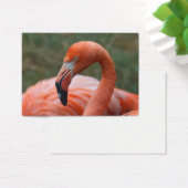 オオバギ (デスク)