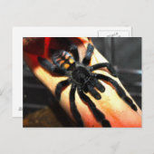 オオバギ ポストカード (正面/裏面)