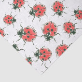 オオバギ 薄葉紙 (詳細)