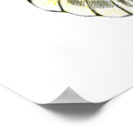 オオバコ ポスター (角)