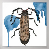 オオバコ ポスター (正面)