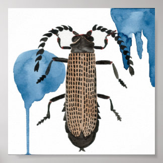 オオバコ ポスター