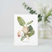 オオバコ ポストカード (スタンド正面)