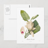 オオバコ ポストカード (正面/裏面)