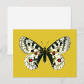 オオバコ ポストカード (正面/裏面)