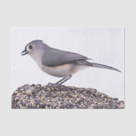 オオバシバシモドキと鳥の餌のティシュペーパー 薄葉紙