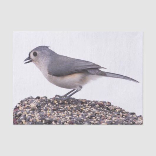 オオバシバシモドキと鳥の餌のティシュペーパー 薄葉紙 (正面)