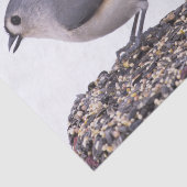 オオバシバシモドキと鳥の餌のティシュペーパー 薄葉紙 (詳細)