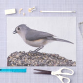 オオバシバシモドキと鳥の餌のティシュペーパー 薄葉紙 (クラフト)