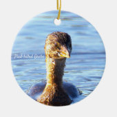 オオバン水鳥のオーナメント セラミックオーナメント (正面)