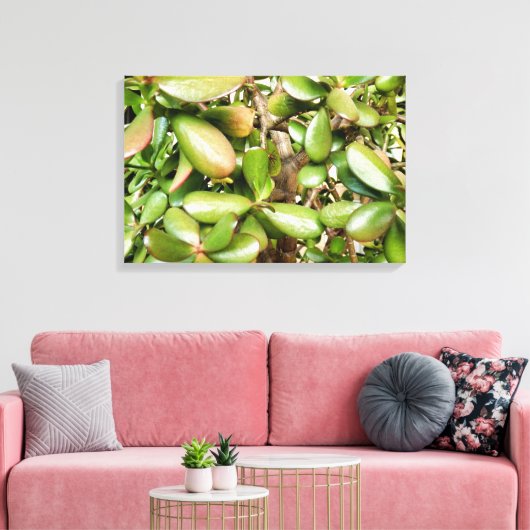 オオバータ白癬 キャンバスプリント (インサイチュ (リビング))