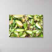 オオバータ白癬 キャンバスプリント (正面)