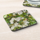 オオバータ白癬 コースター (左側)