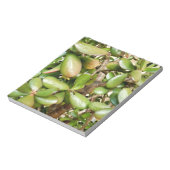 オオバータ白癬 ノートパッド (回転)