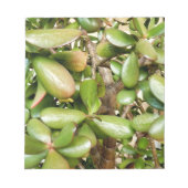 オオバータ白癬 ノートパッド (正面)