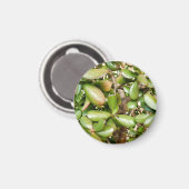 オオバータ白癬 マグネット (正面/裏面)