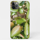 オオバータ白癬 Case-Mate iPhoneケース (裏面)