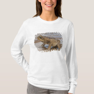 オオヒキガエル Rhinella marina (旧 Bufo属) Tシャツ