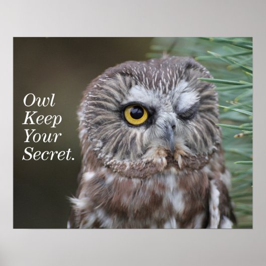 オオフクロウ ポスター (正面)