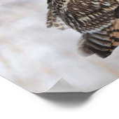 オオフクロウ ポスター (角)